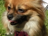i29001758-_szw440h440_