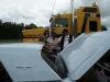 i36163631-_szw440h440_
