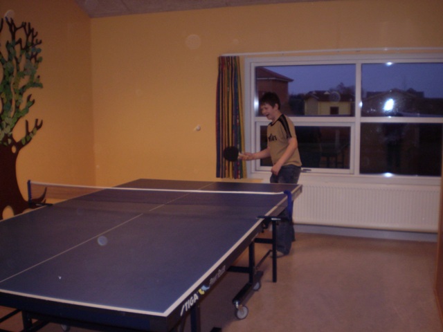 bordtennis