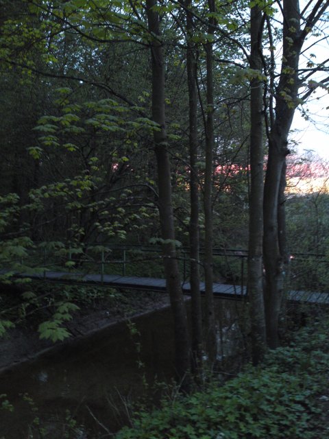 Saltø Å, Sandved
